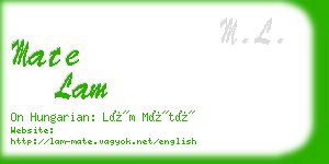mate lam business card